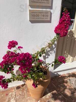 La Cozzeria Estepona