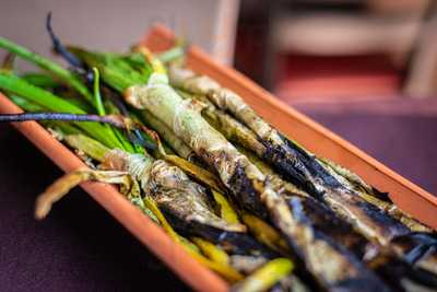 La Terrassa Del Maset - Vilanova