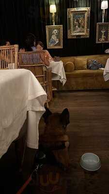 El Perro Y La Galleta (juan Bravo)