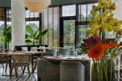 Alea Salad & Rice Bar