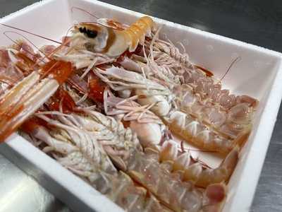 El Faro De Isla Cocedero Y Freiduría