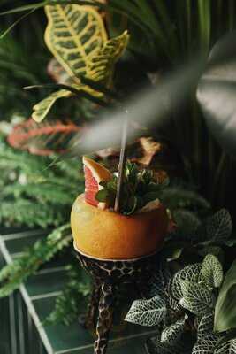 Parque Bar Botánico - Photo 7