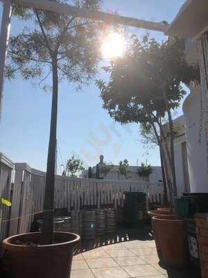 Julieta En Su Balcón