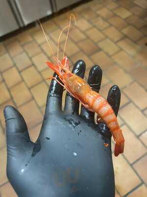 Restaurante Raíces Ronda