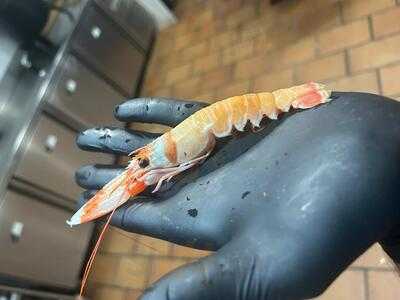 Restaurante Raíces Ronda