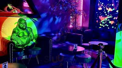 Monkeys Club Valencia