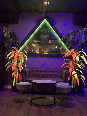 Monkeys Club Valencia