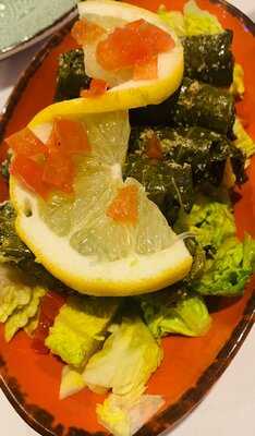 Habibi Cocina Libanesa