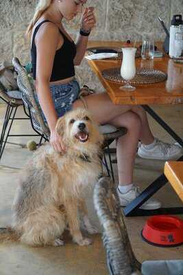 The Cut Steakhouse Denia