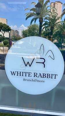 White Rabbit