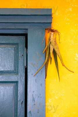 Veranera Summer Club