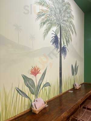 Amazonia Acai Bernabéu