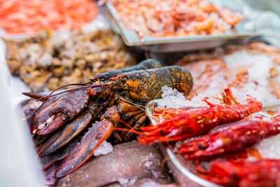 Marisquería Mar De Levante