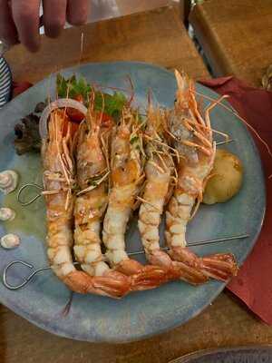 La Terracita De Flores