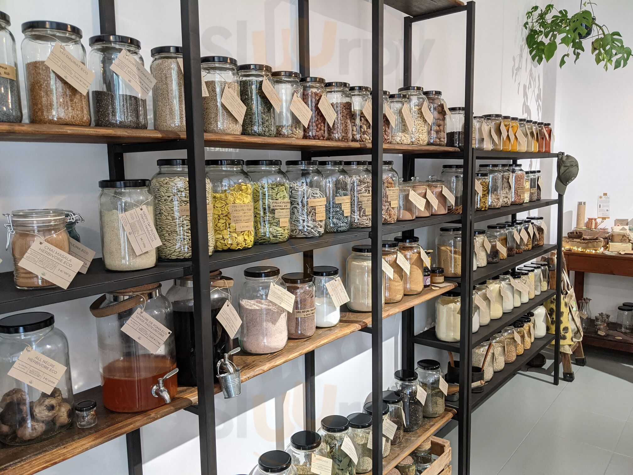 Herbivore Plant Based & Fermented Food