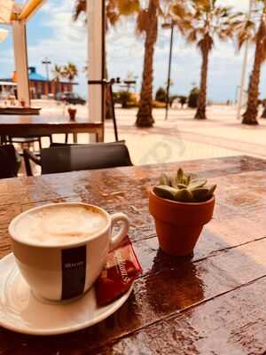 Zinc - Kitchen And Cocktails