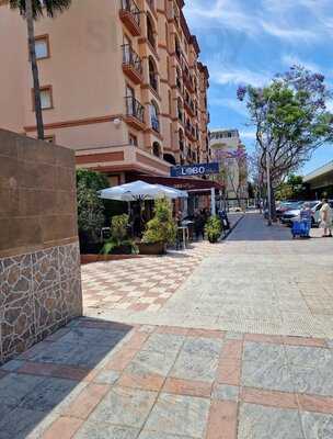 Bar Cosina El Lobo Negro