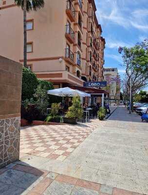 Bar Cosina El Lobo Negro