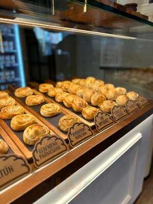 Malvón Santa Isabel