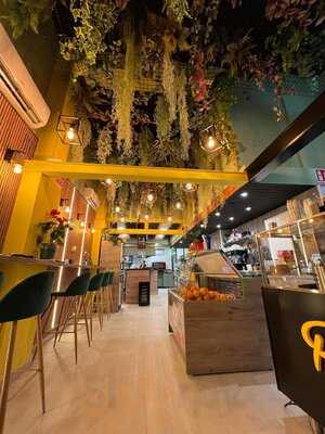 Carambola Fresh & Fruit