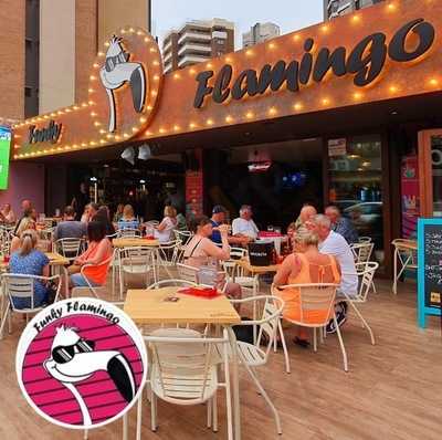 The Funky Flamingo
