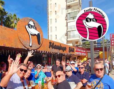 The Funky Flamingo