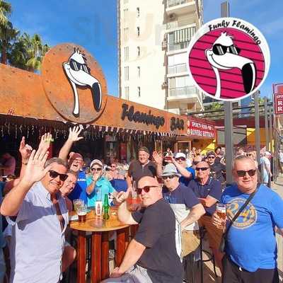 The Funky Flamingo