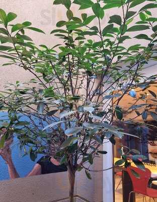 Ibis Hotel Centro Bar.