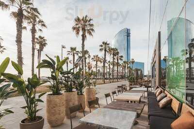 Honest Greens Barceloneta