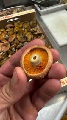 Restaurante Candeal Marbella