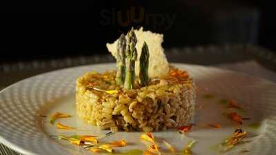 Gastrobar "vincent Wine Geek"