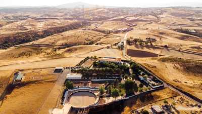 Sabor Flamenco By Finca La Dehesilla