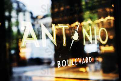 Antonio Boulevard