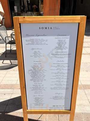 Somia Vins I Llibres