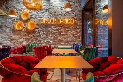 Restaurante Lobo Blanco