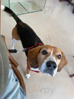 La Galga Specialty Coffee And Bistro