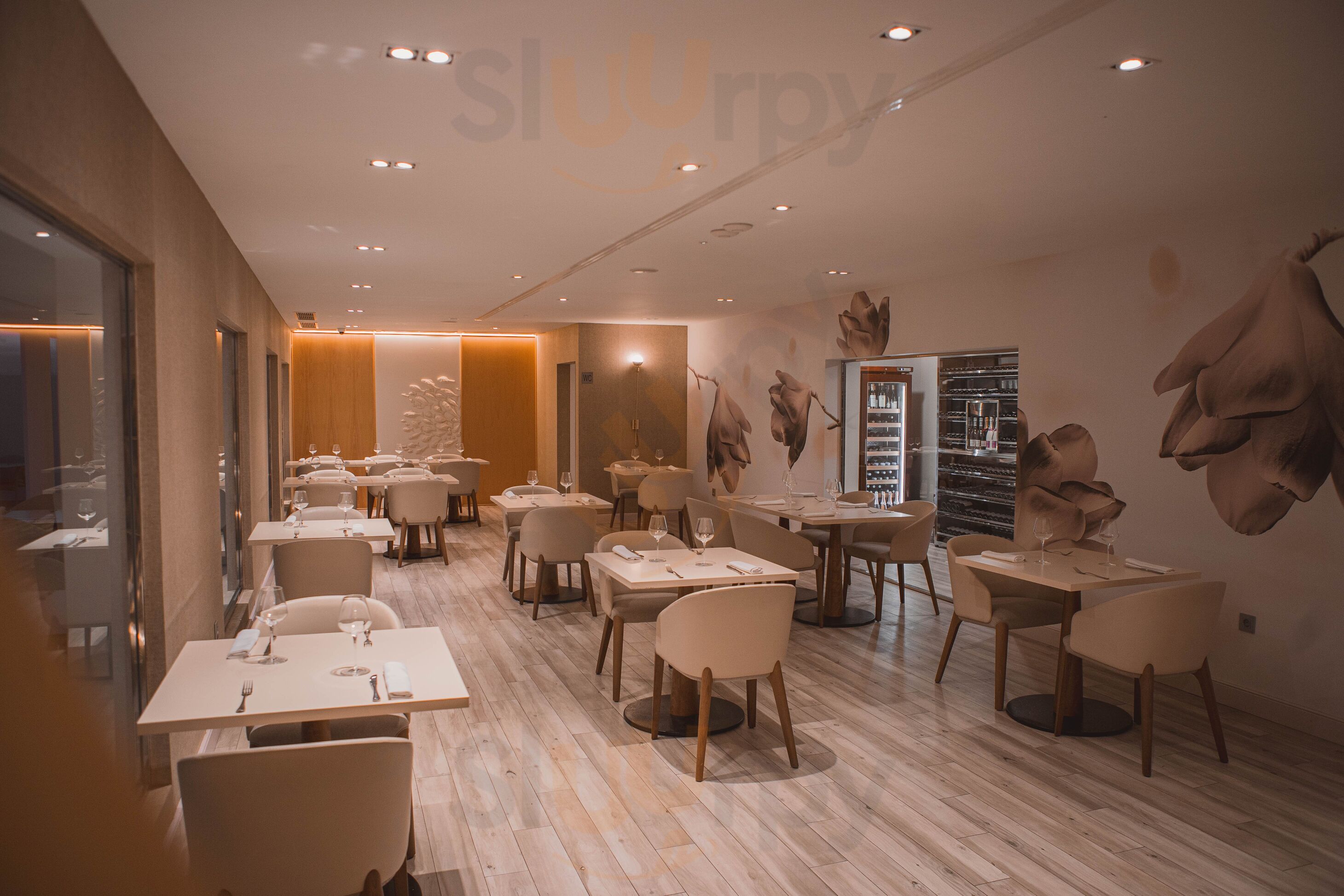 El Pellizco By Rigoberto Almeida