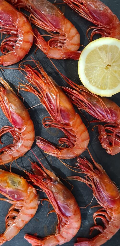 Segundalinea Gastro Bar