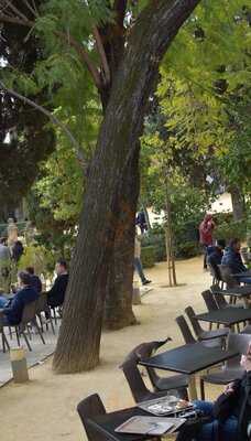 Cafetería Del Real Alcázar De Sevilla