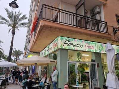 El Flamenco Rosa