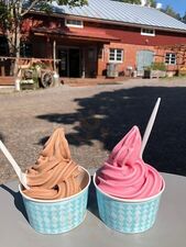 Kitchen & Cafe Bliss