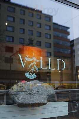 Villd