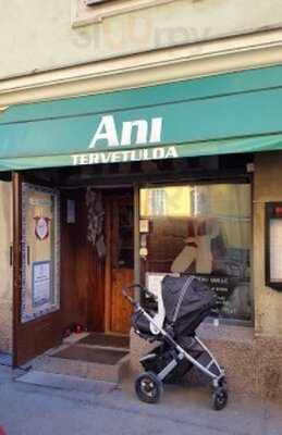 Ravintola Ani