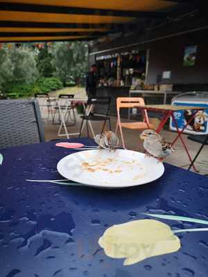 Kahvila Tyyni, Helsinki