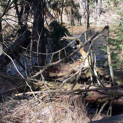 Pitkäkosken Ulkoilumaja