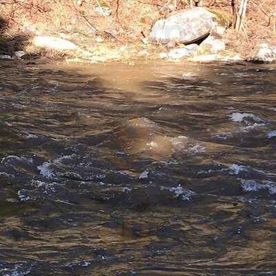 Pitkäkosken Ulkoilumaja