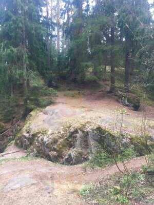 Pitkäkosken Ulkoilumaja