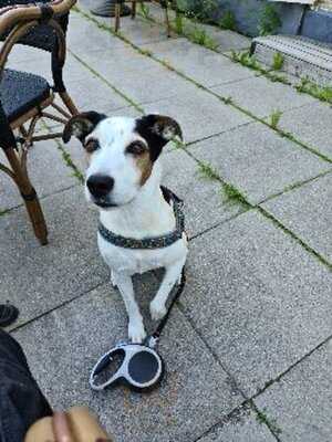 Suomenlinnan Lelumuseo