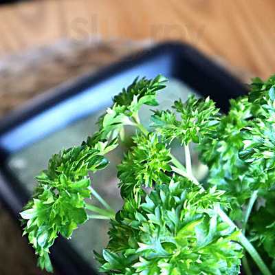 Lounasravintola Siksak