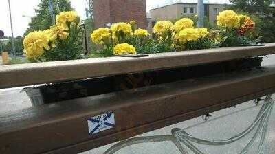 Ravintola Ruiskumestari